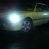Dingo-Chg