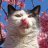 petkev